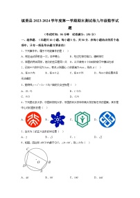 吉林省白城市镇赉县2023-2024学年九年级上学期期末数学试题（含解析）