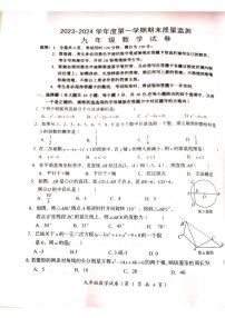 广东省汕头市澄海区2023-2024学年九年级上学期1月期末数学试题