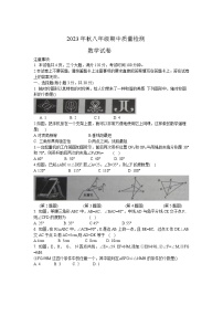 河南省商丘市柘城县2023-2024学年八年级上学期期中质量检测数学试卷(含答案)