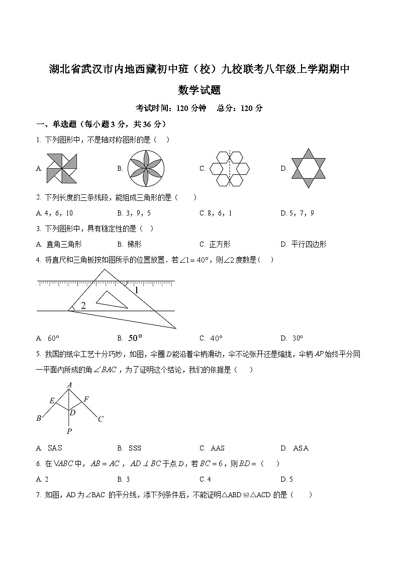 湖北省武汉市内地西藏初中班（校）九校2023-2024学年八年级上学期期中考试数学试卷(含解析)第1页