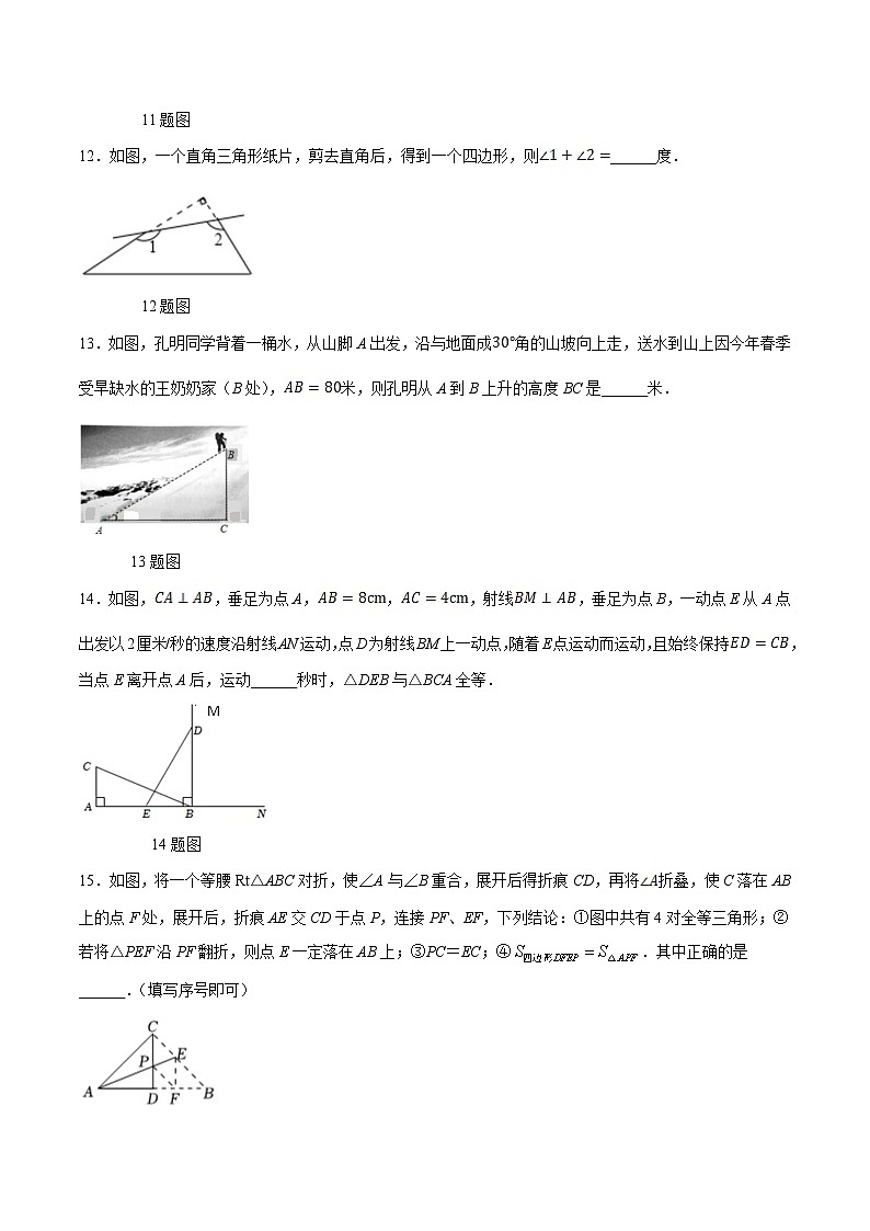 辽宁省鞍山市海城市2023-2024学年八年级上学期期中阶段学情调查数学试卷(含答案)第3页