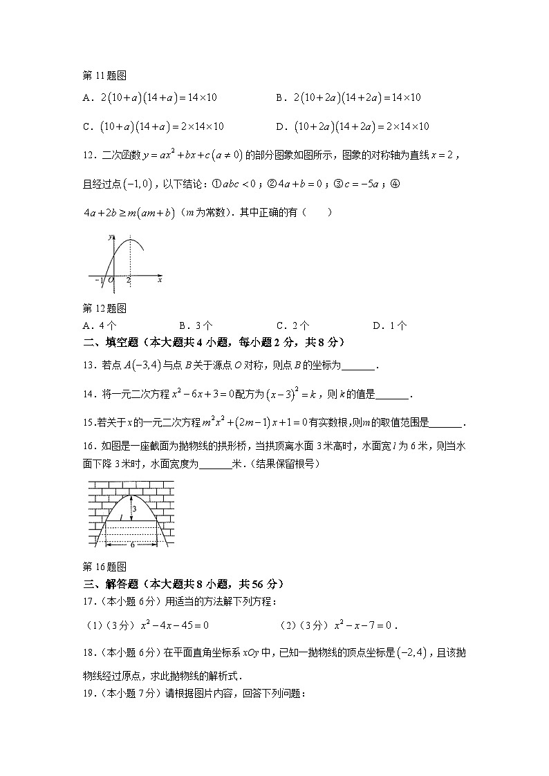 禄劝彝族苗族自治县第一中学2024届九年级上学期期中考试数学试卷(含部分解析)03
