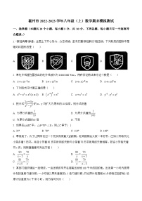 山西省临汾市霍州市2022-2023学年八年级上学期期末模拟测试数学试卷(答案不全)