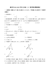 山西省临汾市霍州市2022-2023学年七年级上学期期末模拟测试数学试卷(含解析)