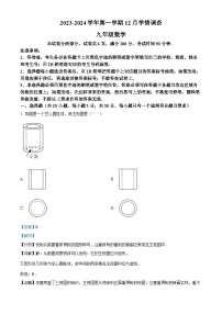 广东省深圳市龙岗区外国语学校2023-2024学年九年级上学期月考数学试题