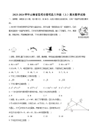 2023-2024学年云南省昆明市嵩明县八年级（上）期末数学试卷（含解析）