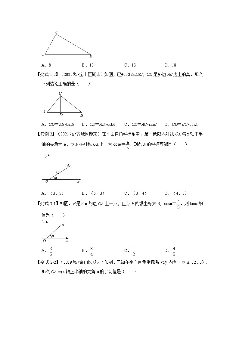 1.3 解直角三角形（知识解读）-2023-2024学年九年级数学下册重点专题解读+训练（北师大版）第3页