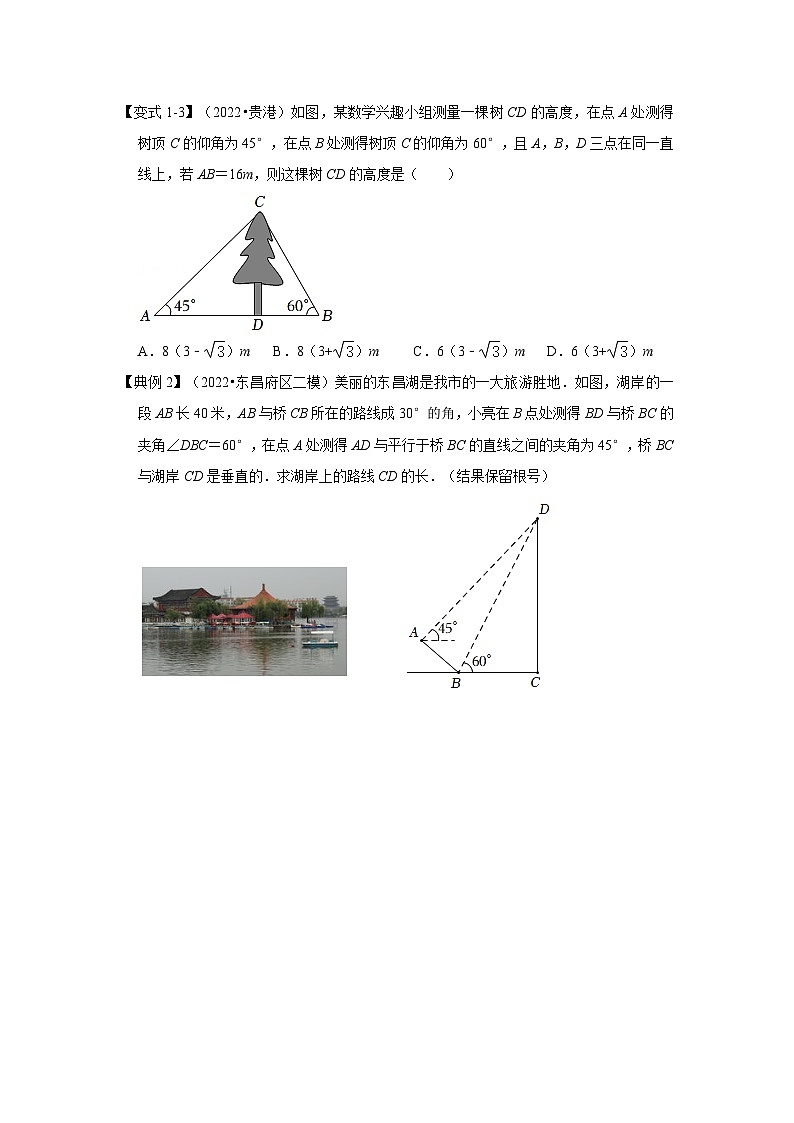 1.4 三角形函数应用（知识解读）-2023-2024学年九年级数学下册重点专题解读+训练（北师大版）第3页