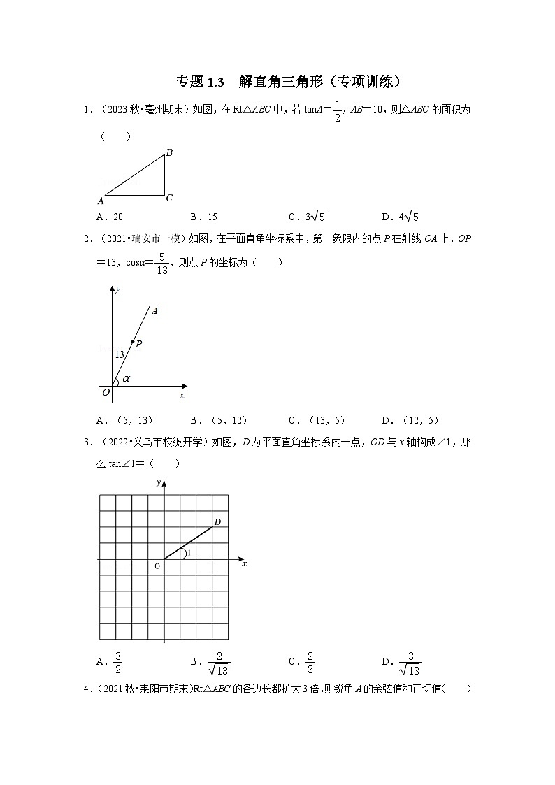 专题1.3  解直角三角形（专项训练）-2023-2024学年九年级数学下册重点专题解读+训练（北师大版）01