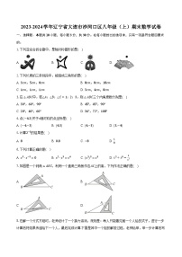 2023-2024学年辽宁省大连市沙河口区八年级（上）期末数学试卷（含解析）