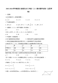 2023-2024学年黑龙江省绥化市八年级（上）期末数学试卷（五四学制）（含解析）