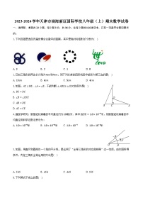 2023-2024学年天津市滨海新区国际学校八年级（上）期末数学试卷（含解析）