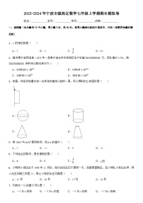 浙江省宁波镇海区2023-2024学年七年级上学期数学期末模拟卷