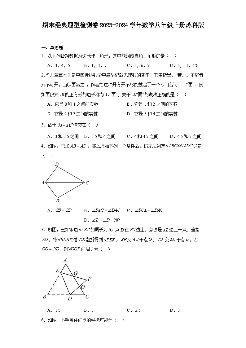 期末经典题型检测卷2023-2024学年苏科版数学八年级上册第1页