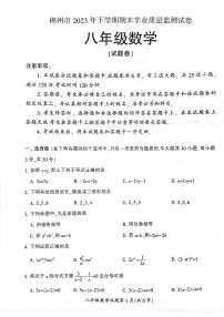 湖南省郴州市桂阳县2023-2024学年八年级上学期1月期末数学试题