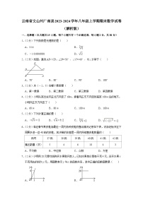 云南省文山州广南县2023-2024学年八年级上学期期末数学试卷+