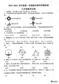 广东省惠州市惠东县2023-2024学年九年级上学期1月期末数学试题