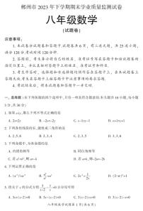 湖南省郴州市苏仙区2023-2024学年八年级上学期1月期末数学试题含答案
