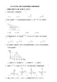 广东省深圳市罗湖区2023-2024学年上学期八年级数学期末模考试题