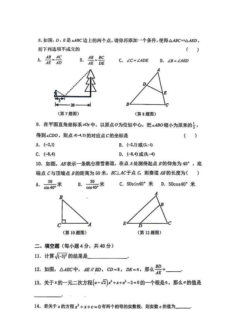 吉林省长春市农安县2023－2024学年九年级上学期期末学情调研数学试卷(图片版 含答案)第2页