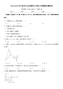 2023-2024宁波江北区数学九年级上学期期末模拟卷