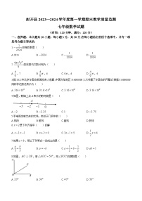 广东省肇庆市封开县2023-2024学年七年级上学期期末数学试题