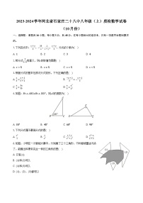 2023-2024学年河北省石家庄二十八中八年级（上）质检数学试卷（10月份）（含解析）