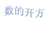 春上海教育版數(shù)學(xué)七年級(jí)下冊(cè).《數(shù)的開方》ppt課件
