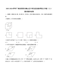 2023-2024学年广东省深圳市南山区中科先进实验学校九年级（上）期末数学试卷（含解析）