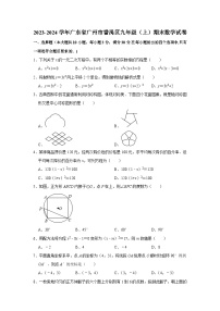 2023-2024学年广东省广州市番禺区九年级（上）期末数学试卷