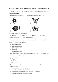 2023-2024学年广东省广州市南沙区九年级（上）期末数学试卷