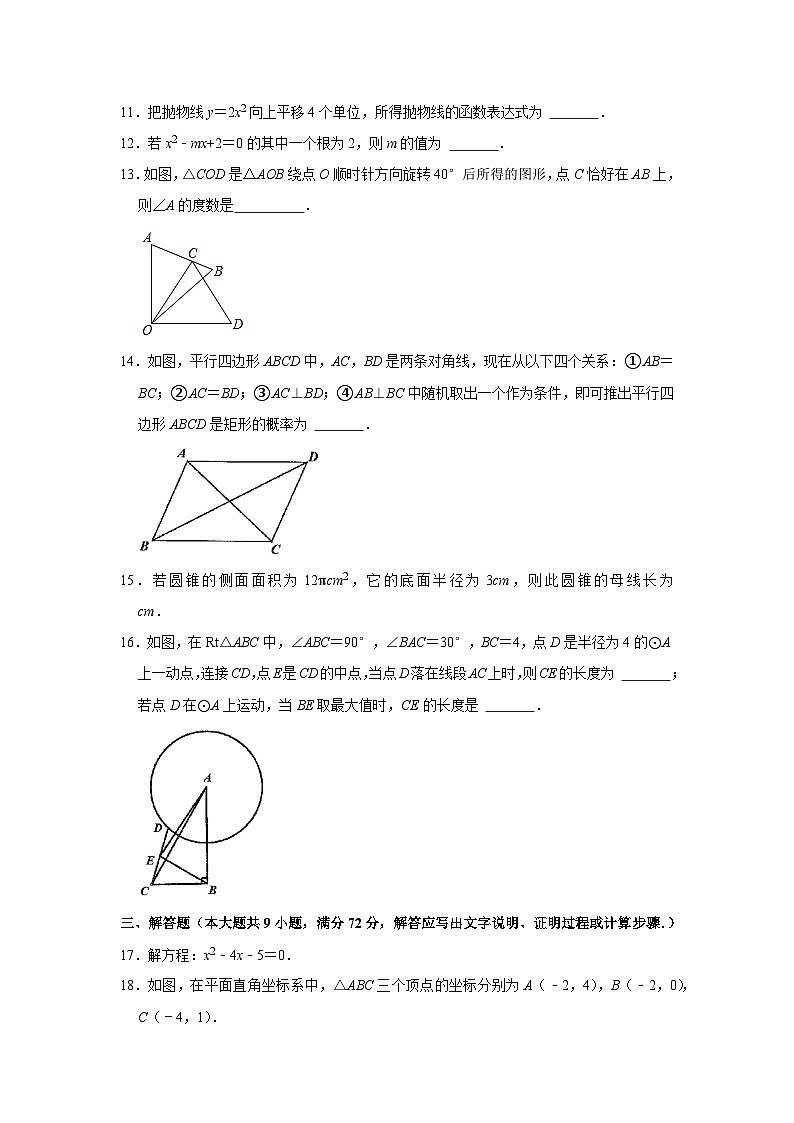 2023-2024学年广东省广州市南沙区九年级（上）期末数学试卷03