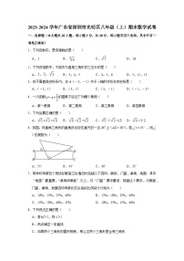 2023-2024学年广东省深圳市光明区八年级（上）期末数学试卷