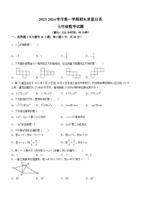 广东省东莞市五校联考2023-2024学年七年级上学期期末数学试题