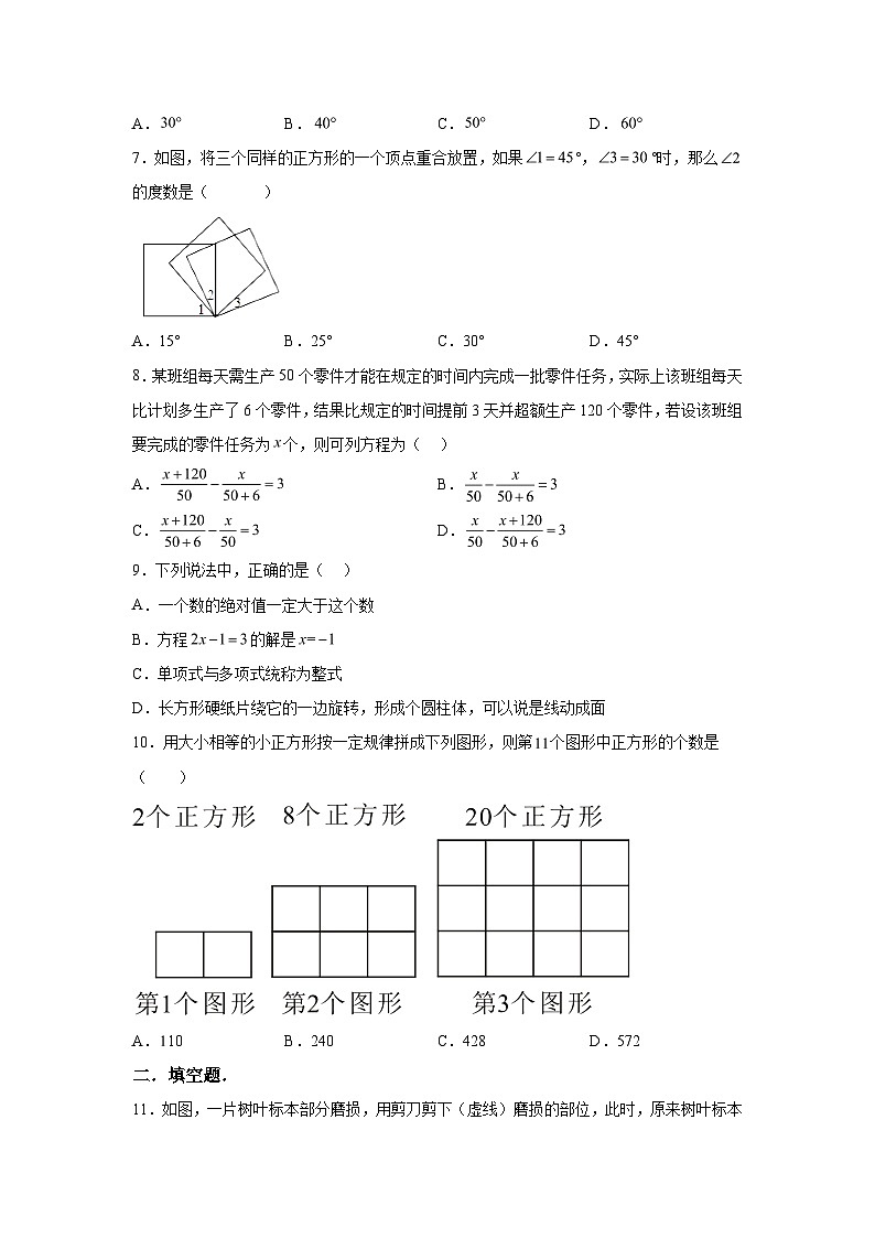 广东省东莞市樟木头中学2022-2023学年七年级上学期期末数学试题（含解析）02