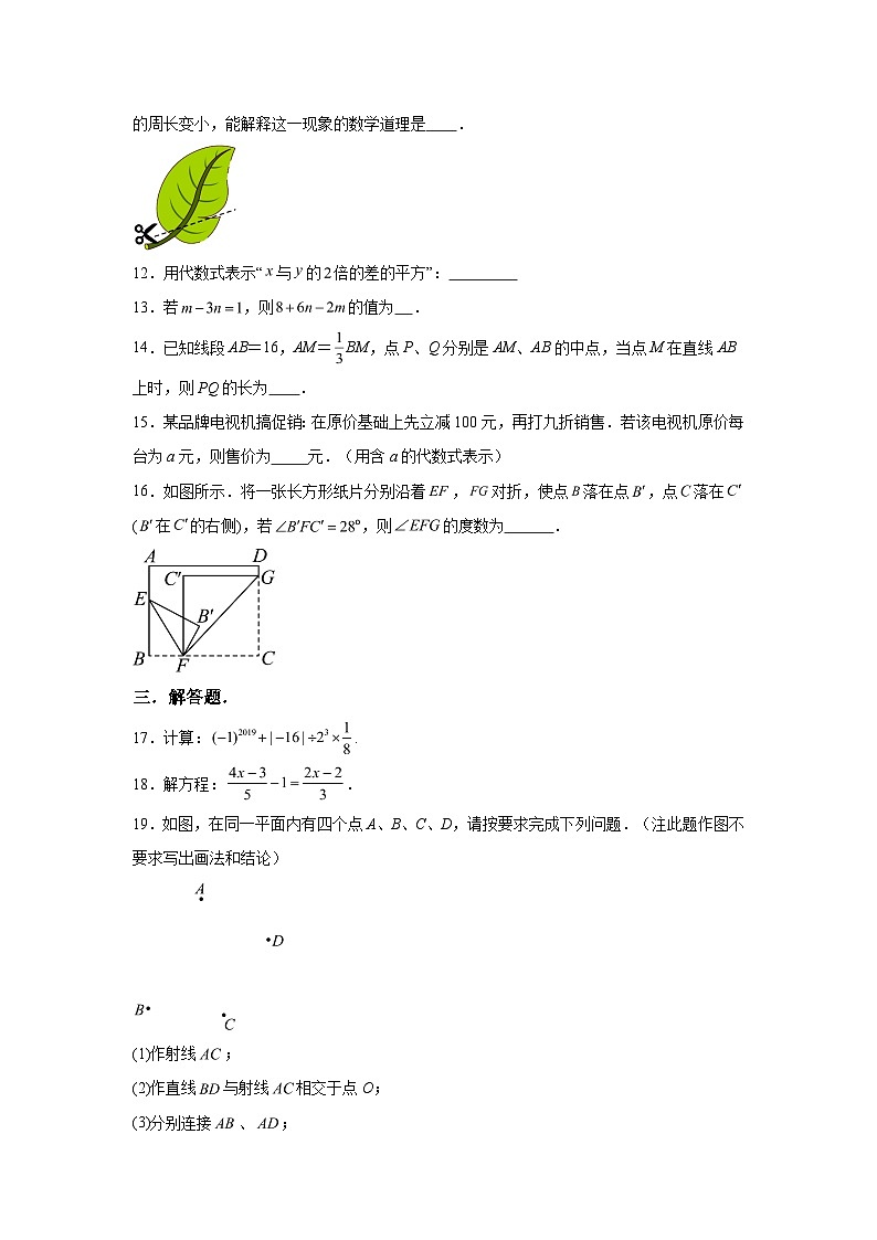 广东省东莞市樟木头中学2022-2023学年七年级上学期期末数学试题（含解析）03