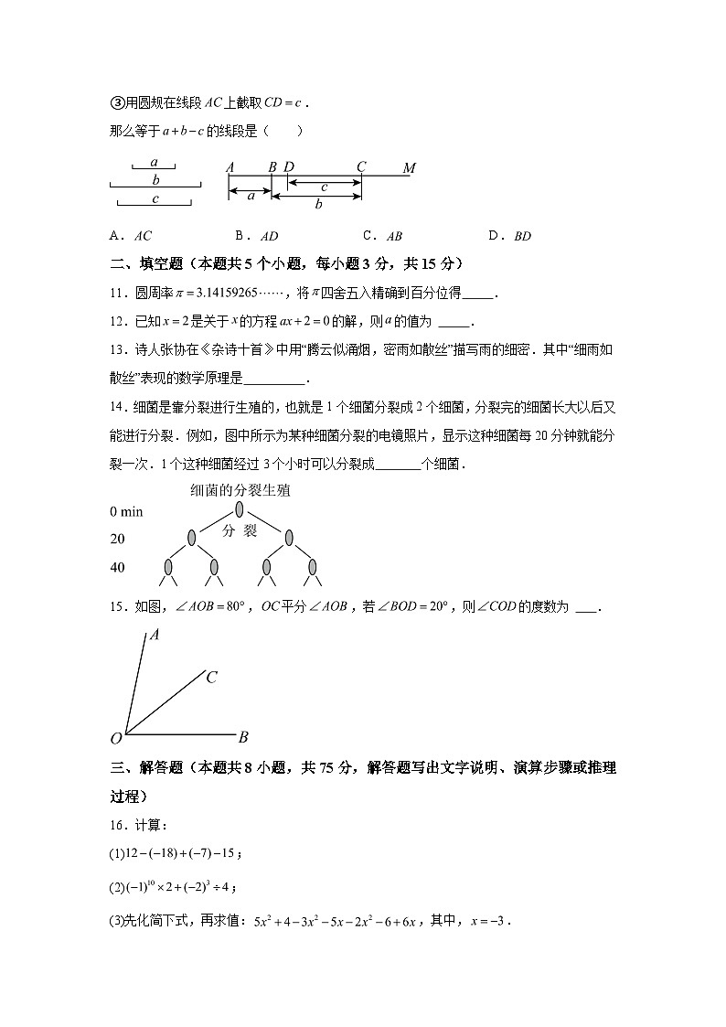 2023-2024学年辽宁省抚顺市望花区七年级（上）学期期末数学试题（含解析）第3页