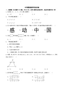 甘肃省庆阳市2024年中考模拟数学考试试卷附答案