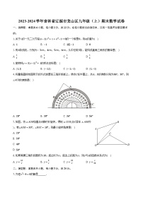 2023-2024学年吉林省辽源市龙山区九年级（上）期末数学试卷（含解析）