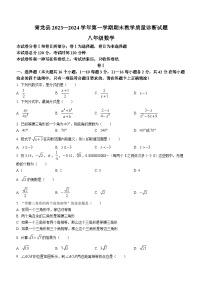 河北省秦皇岛市青龙满族自治县2023-2024学年八年级上学期期末数学试题