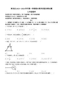 河北省秦皇岛市青龙满族自治县2023-2024学年九年级上学期期末数学试题