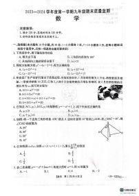 河北省唐山市丰润区2023-2024学年九年级上学期期末数学试题