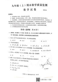 四川省眉山市仁寿县2023-2024学年九年级上学期期末教学质量监测数学试卷