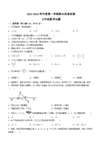 河北省秦皇岛市昌黎县2023-2024学年七年级上学期期末数学试题