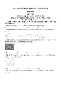 辽宁省葫芦岛市连山区2023-2024学年九年级上学期期末数学试题