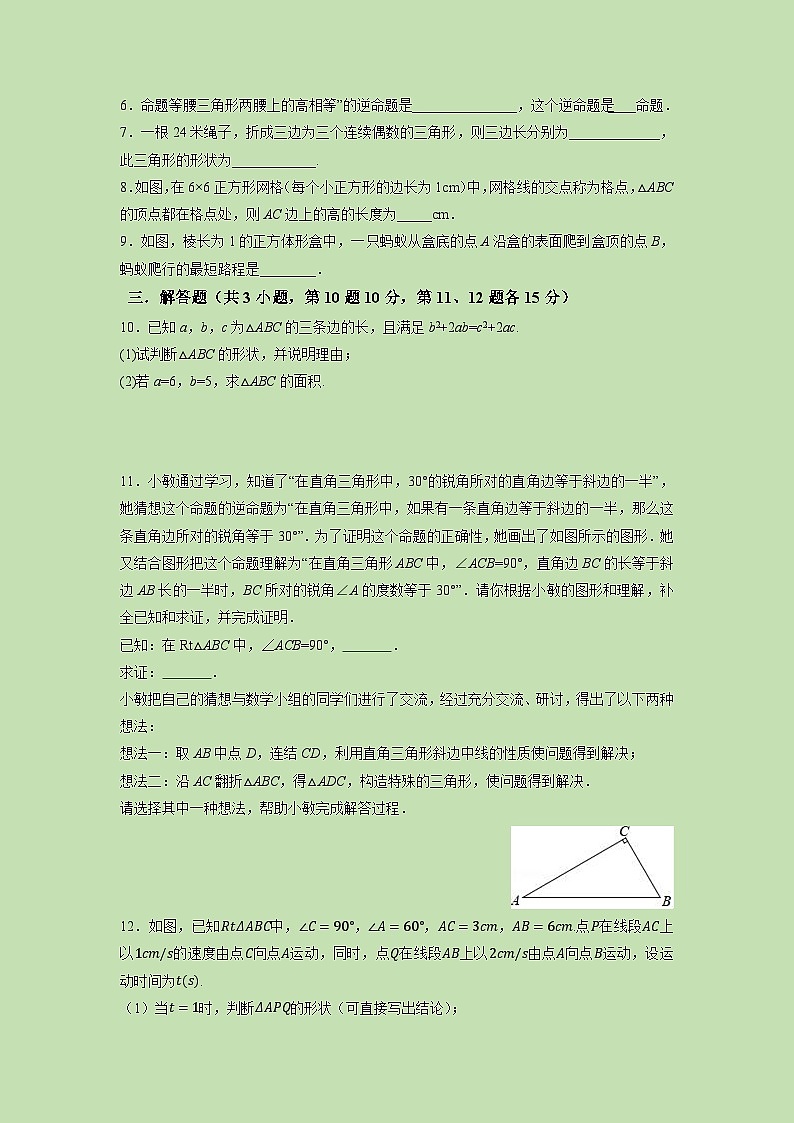 1.2 直角三角形（1）-试卷02