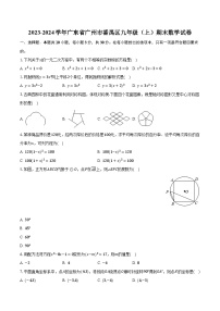 2023-2024学年广东省广州市番禺区九年级（上）期末数学试卷（含解析）