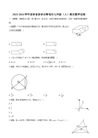 2023-2024学年吉林省吉林市桦甸市九年级（上）期末数学试卷（含解析）