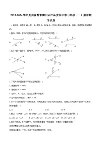 2023-2024学年贵州省黔东南州从江县贯洞中学七年级（上）期中数学试卷（含解析）