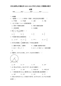 河北省唐山市遵化市2023-2024学年九年级上学期期末数学试题(含答案)